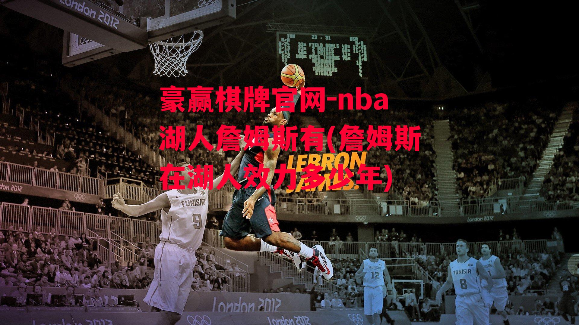 nba湖人詹姆斯有(詹姆斯在湖人效力多少年)